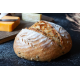 Sprouted Lentil Sourdough