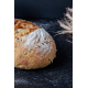 Sprouted Lentil Sourdough